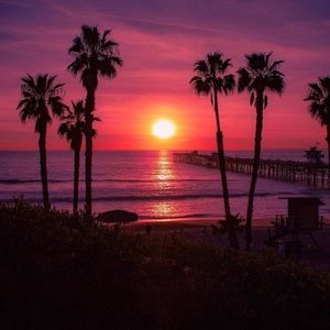 Meet your Posher, Jenne